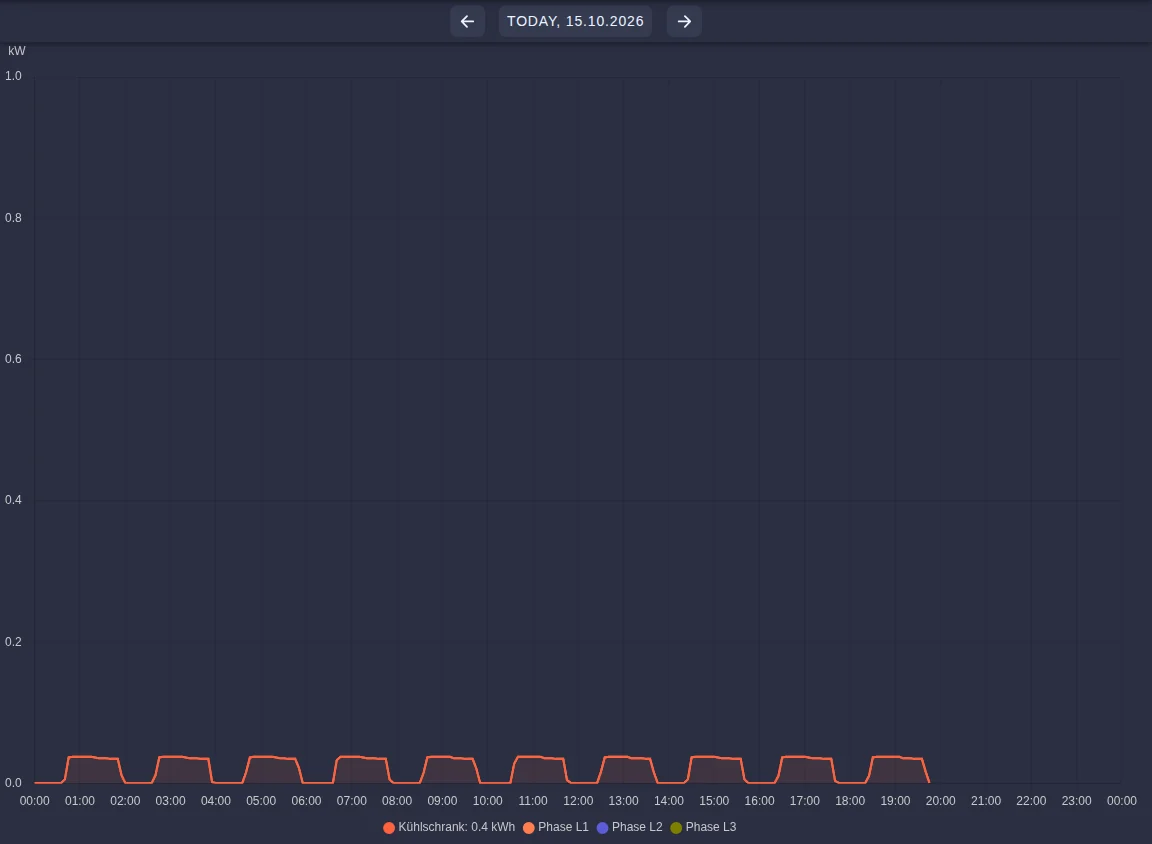 Daily curve of a single consumer with phases in the legend